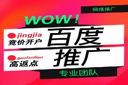 百度广告推广的投放策略与市场分析